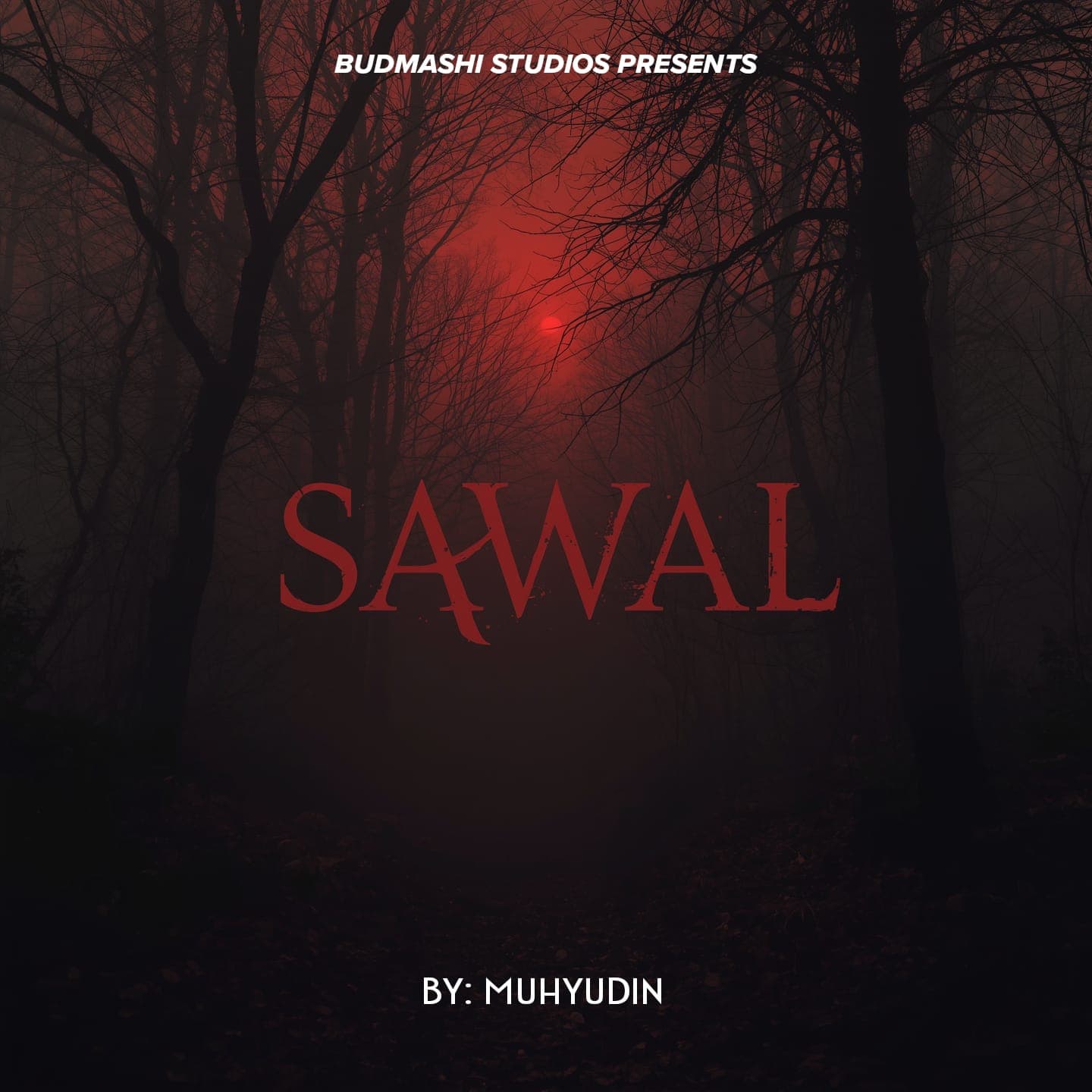 Album cover for Sawal by Budmashi